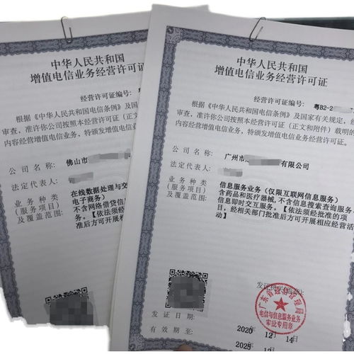 重庆音乐网文公司的咨询服务 信息咨询服务的深度解析